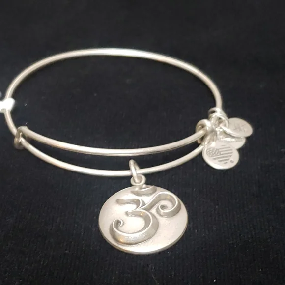 NWT Alex and Ani RS Ohm III 2016 - Picture 3 of 9